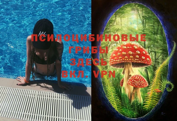 метадон Беломорск