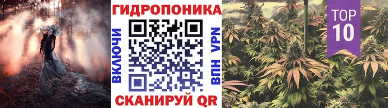Купить где  Стародуб  Бошки Шишки AK-47 